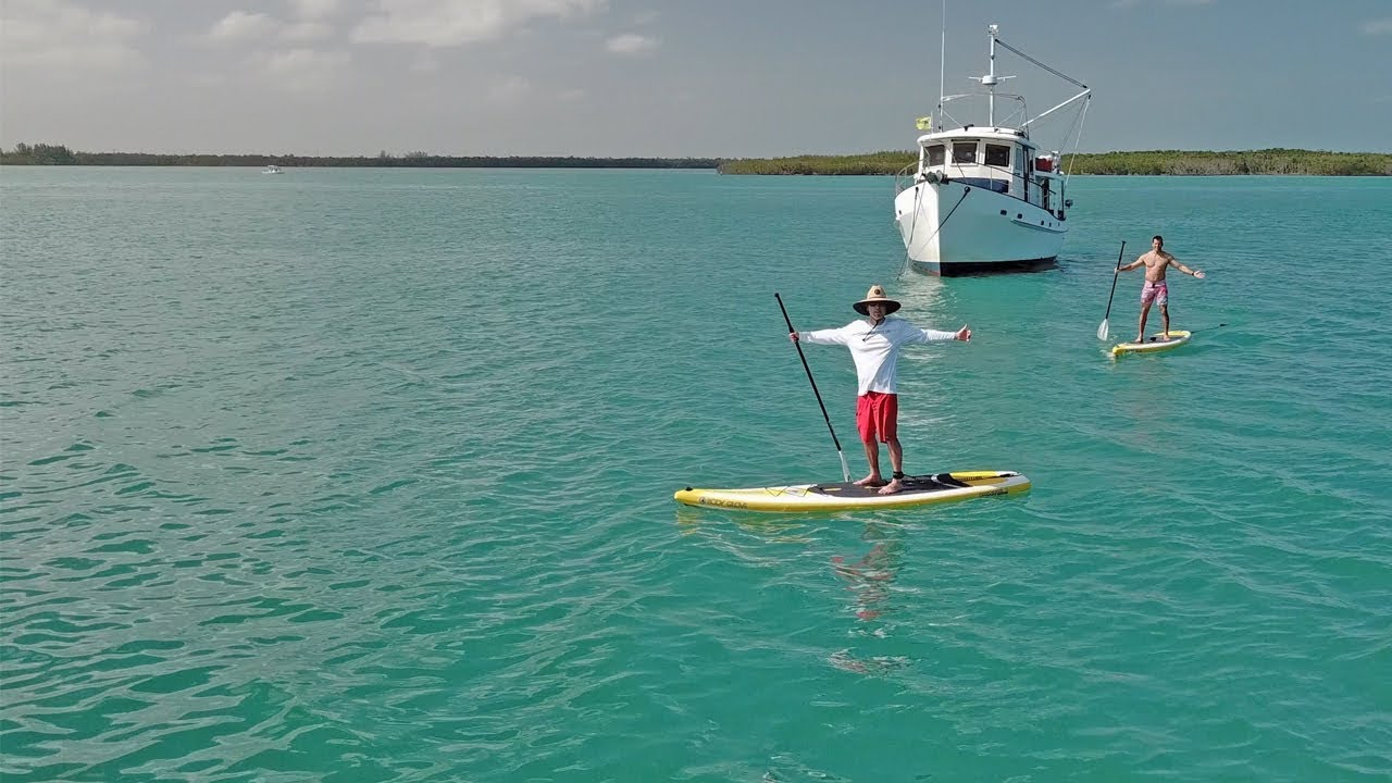 Drone Captures Epic Paddleboard Fight
