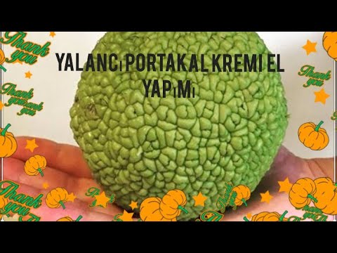 YALANCI PORTAKAL KREMİ YAPIMI