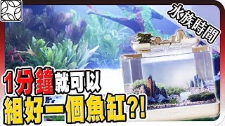 竟然又買了新水族箱？一口氣放了50多隻蝦子？！｜水族時間 ...