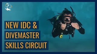 New PADI IDC and Divemaster Skills Circuit 2023 - Neutrally Buoyant