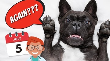 How often should I treat my pup for fleas and ticks?