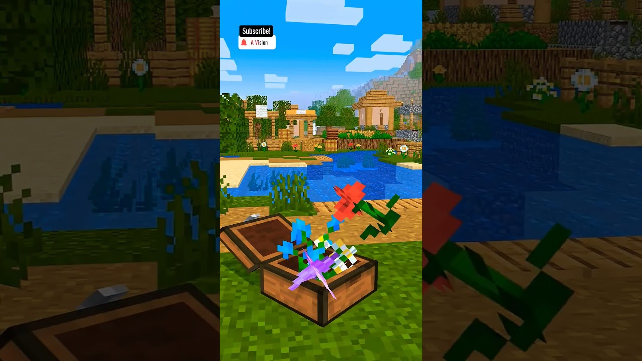 A Vision Minecraft Animations 