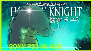 Hollow Knight (35) Snail Unn PS5 4K HDR