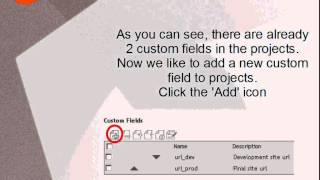 webTareas HowTo - Custom Fields Tutorial (I)
