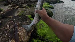 MacDill AFB Fishing — One More Cast Turned into an Hour