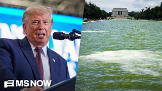 Trump ‘set the stage for his own failure': GOP strategist blasts reflecting pool disaster