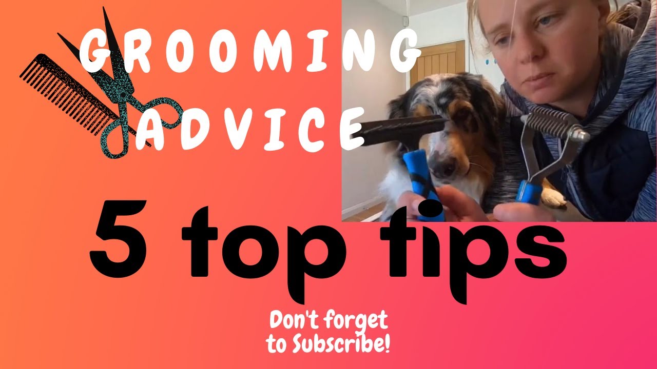 Top 5 Lockdown Grooming tips (Extra Tips!) YouTube