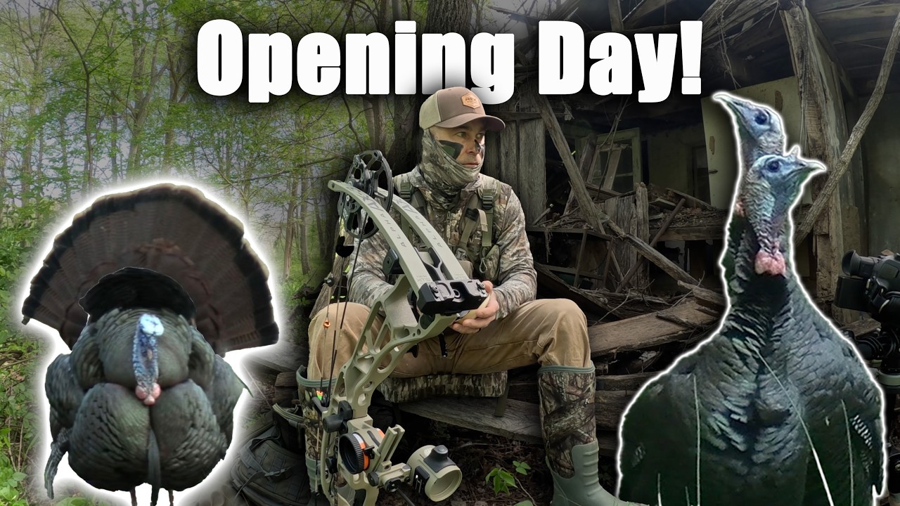 Opening Day Turkey Season - Tennessee