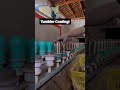 How Do Tumblers Get Their Color?