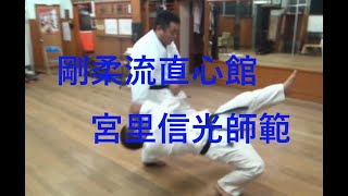 上原 恒先生高弟・宮里 信光師範 （沖縄剛柔流直心館）動画集。