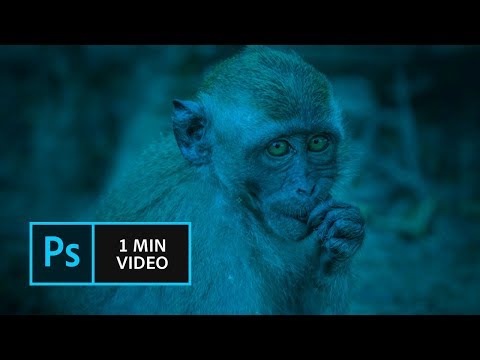 How to find any feature or tool in Photoshop