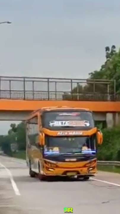 story' wa bus sjm trans detektif Conan oleng #busmania #busmaniacommunity #sjmtrans #shorts