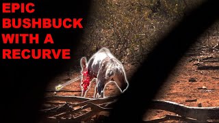 BUSHBUCK W a Recurve! WARNING VERY GRAPHIC | Bowmar Bowhunting |