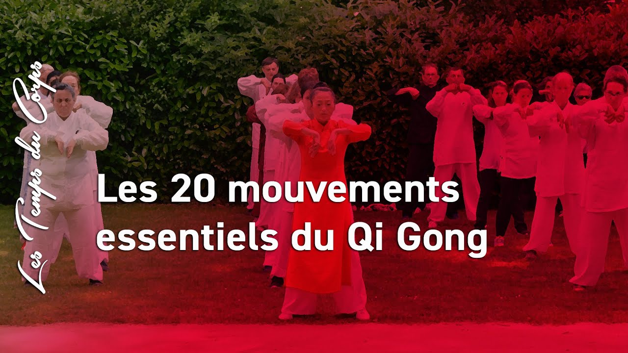 20 mouvements essentiels du Qi Gong avec Matre KE Wen et les lves de la formation Qi Gong Gnral