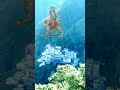 वैष्णो देवी Darshan #shorts