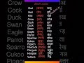 Birds name #spokenenglish #english #reels #viral