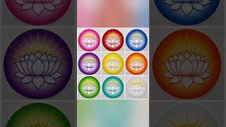 Easy n beautiful lotus flower rangoli design ❤️🥰💕 #art #flowers #rangoli #lotus #easyrangoli