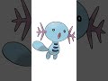 Facts about wooper you might not know  pokemon facts pokefacts