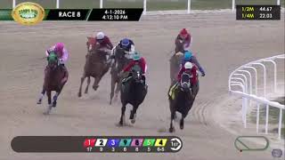 Tampa Bay Downs Full Race Replays| April 1, 2026 Thrilling Finishes & Winners
