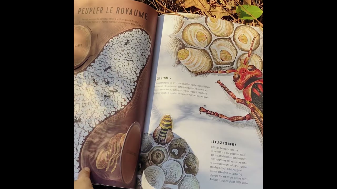 Royaumes minuscules d'Anne Jankéliowitch et Isabelle Simler