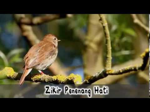 Zikir Penenang Hati Hijjaz 