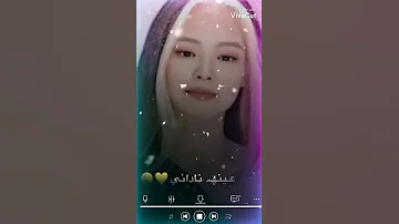 جيني مش طبيعي لو ظهر بتقوم قيامه 