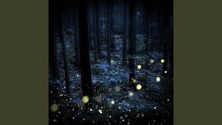 Night gatherings (Super Slowed) - ∆lpha, FLVMMING