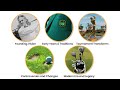 History of the Masters Golf Tournament Explained In 10 Minutes