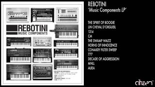 Rebotini - The Swamp Waltz