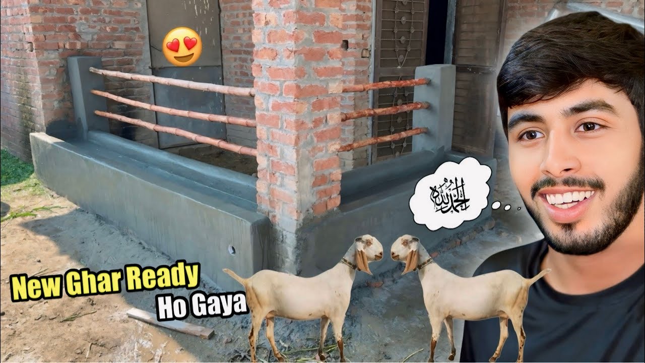 Goats Ka Ghar Complete Ho Gaya 🏡 Goats Farming 🐐