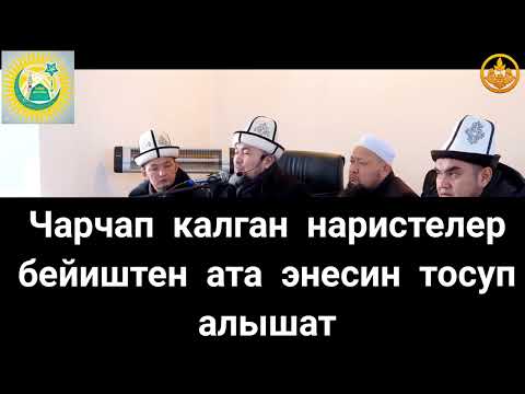 Video: Тазаланган жандар кыйналабы?