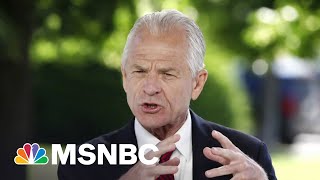 Cuffed And Shackled: Trump Aide Navarro’s Arrest Puts Heat On Coup Plot After MSNBC Confession