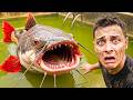 I Found the Monster Attacking My Rare Fish! | RAWWFishing Compilation