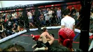 Mma Amateur. Abama Extreme 2013
