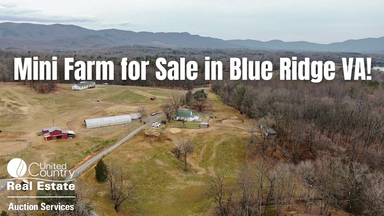 Mini Farm for Sale in Blue Ridge VA! YouTube