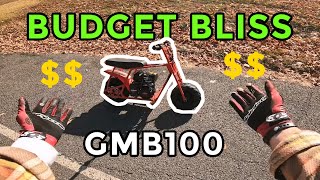 Is This the Best Affordable Mini Bike?
