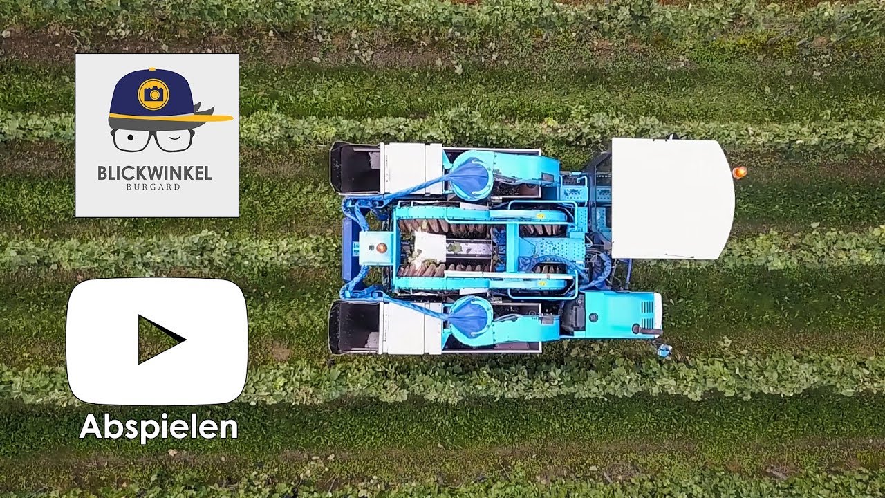 Werbefilm / Imagefilm: Weingut Bus // #47 // blibu.de