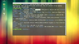 Linux mint 17 1 Kernel Update the voyage Stage 10 THE END