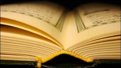 سورة الفلق الشيخ فيصل ابراهيم الناصر