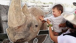 Berth-Cris-FUIMOS-AL-ZOOL-GICO-Y-TOCAMOS-RINOCERONTES-FAMILIA-BAKERSUAVE