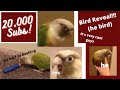 BIRD REVEAL - 20,000 Subscriber Special
