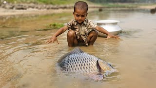 Amazing Traditional Boy Fish Catching By Hand in Water | Amazing Hand Fishing Video #Fish