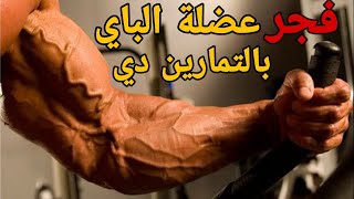 فجر عضلة البايسيبس بالخمس تمارين دي | باستخدام الدامبلز