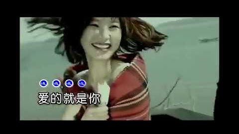 刘佳   爱的就是你MV   KTV版