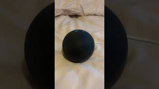 Amazon Alexaβs rap, on the echo dot.