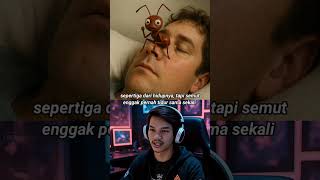 fakta semut gak bisa tidur #faktaunik #semut #misteri #fakta #faktadunia #youtubeshorts