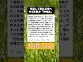 偏頭痛で寝込む私に、中3次男がしてくれた『ある事』に涙。頭を撫でた時の「照れ隠し」が可愛すぎて尊い…😭 #感動する話 #育児