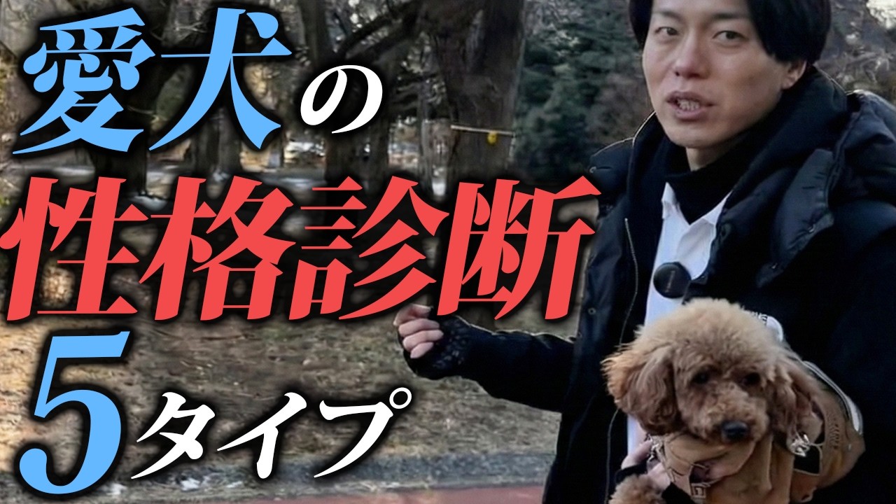 【深掘り】犬の