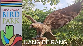 Chandigarh Bird Park | Best atmosphere for birds in the City Beautiful | Kang de Rang # Chandigarh