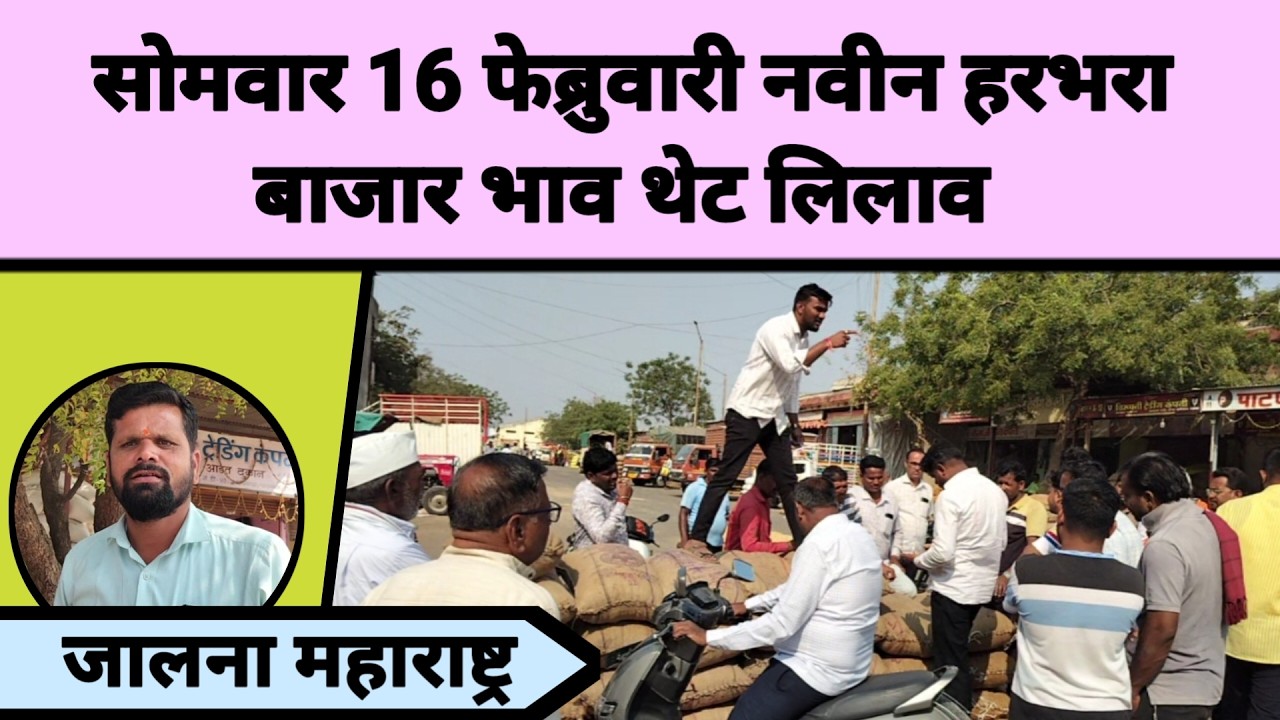 सोमवार 16 फेब्रुवारी नवीन हरभरा बाजार भाव थेट लिलाव जालना महाराष्ट्र || नवीन हरभरा काय विकतो